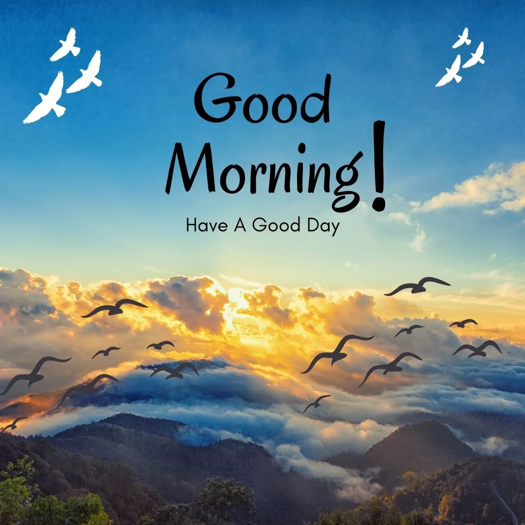 80+ Good morning images free to download 49
